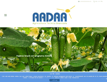 Tablet Screenshot of aadaa.es